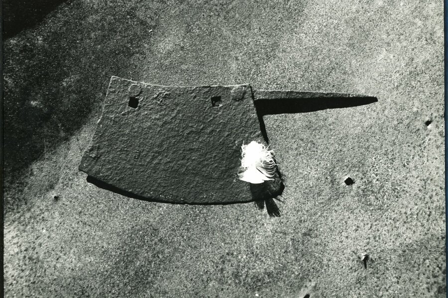 Z cyklu „Příběhy věcí“